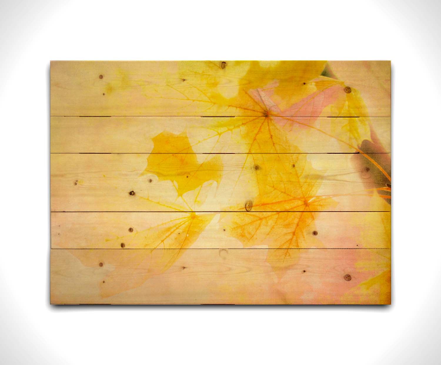 A photo of a stem of yellow leaves, brightly lit from behind. Printed on a wood pallet.