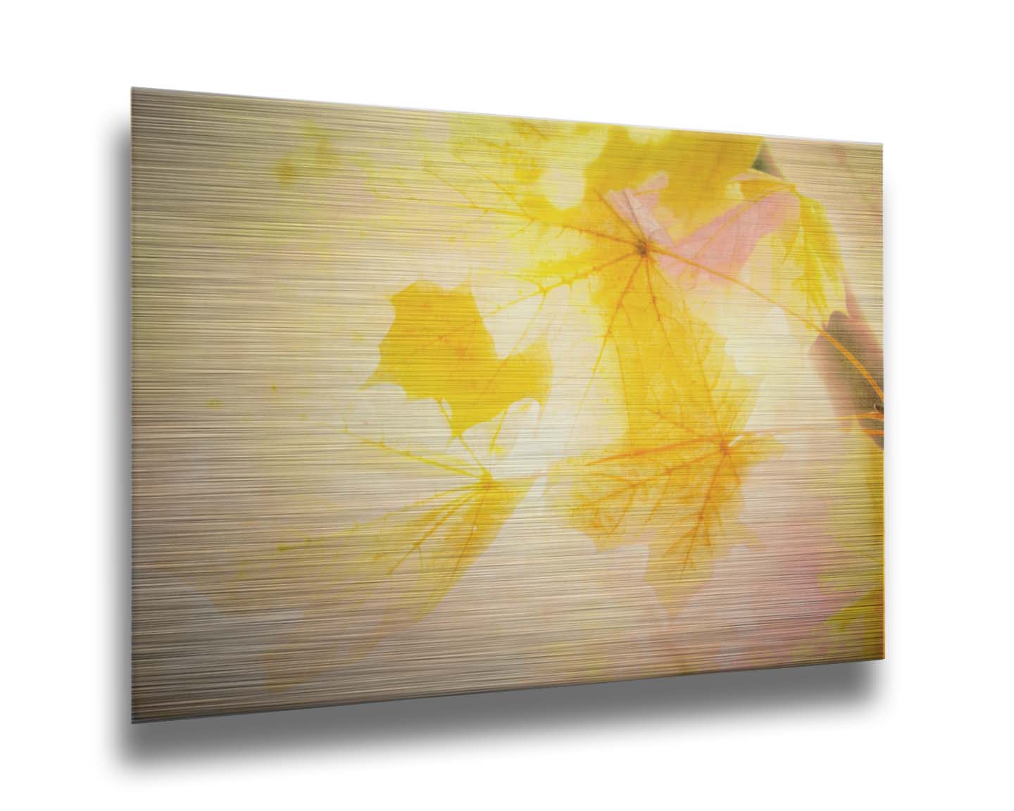 A photo of a stem of yellow leaves, brightly lit from behind. Printed on metal.