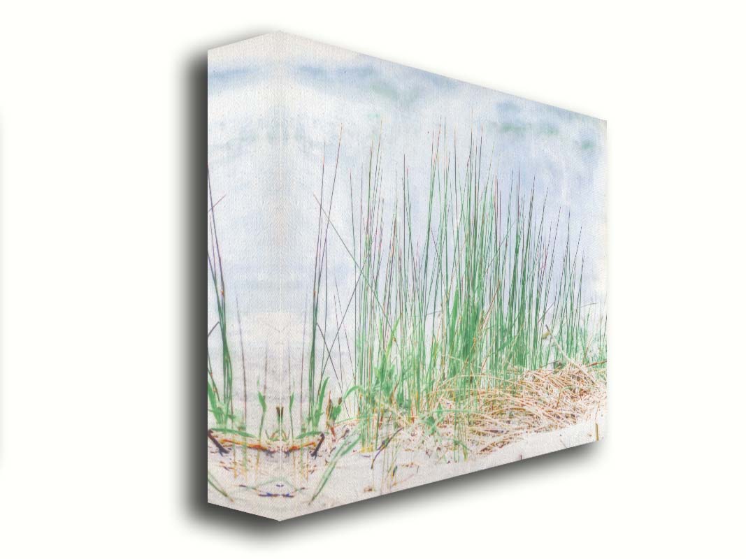 A photo of a patch of tall, green grass on a beach. Printed on canvas.