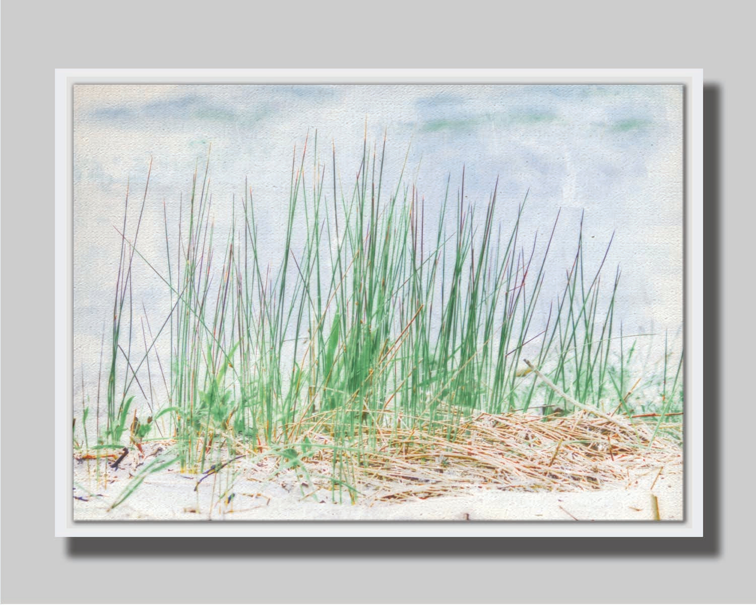 A photo of a patch of tall, green grass on a beach. Printed on canvas in a float frame.