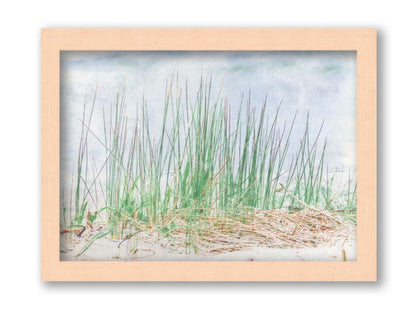 A photo of a patch of tall, green grass on a beach. Printed on canvas and framed.