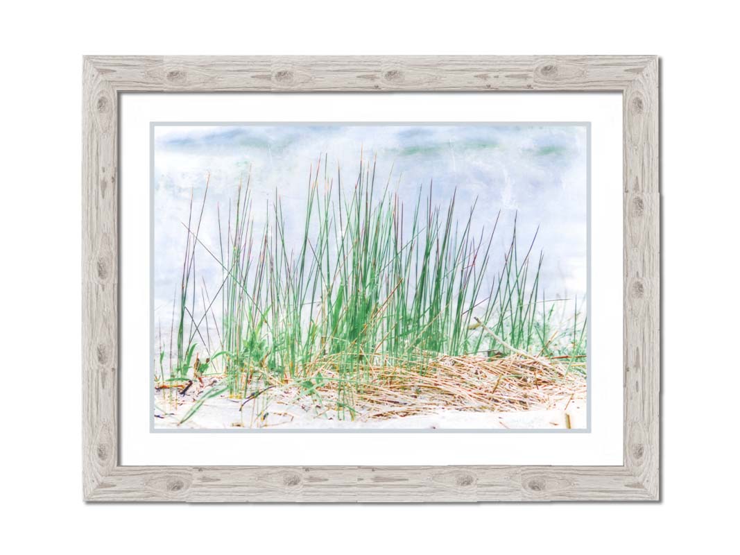 A photo of a patch of tall, green grass on a beach. Printed on paper, matted, and framed.