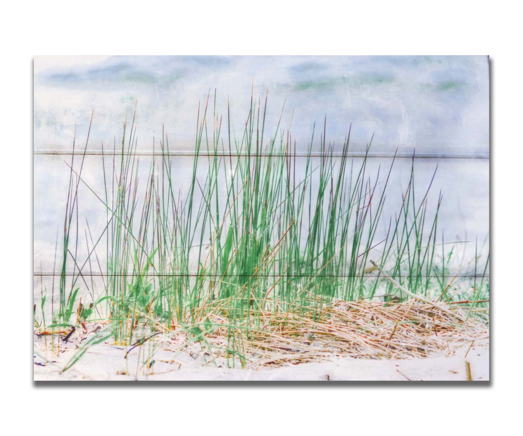 A photo of a patch of tall, green grass on a beach. Printed on a box board.