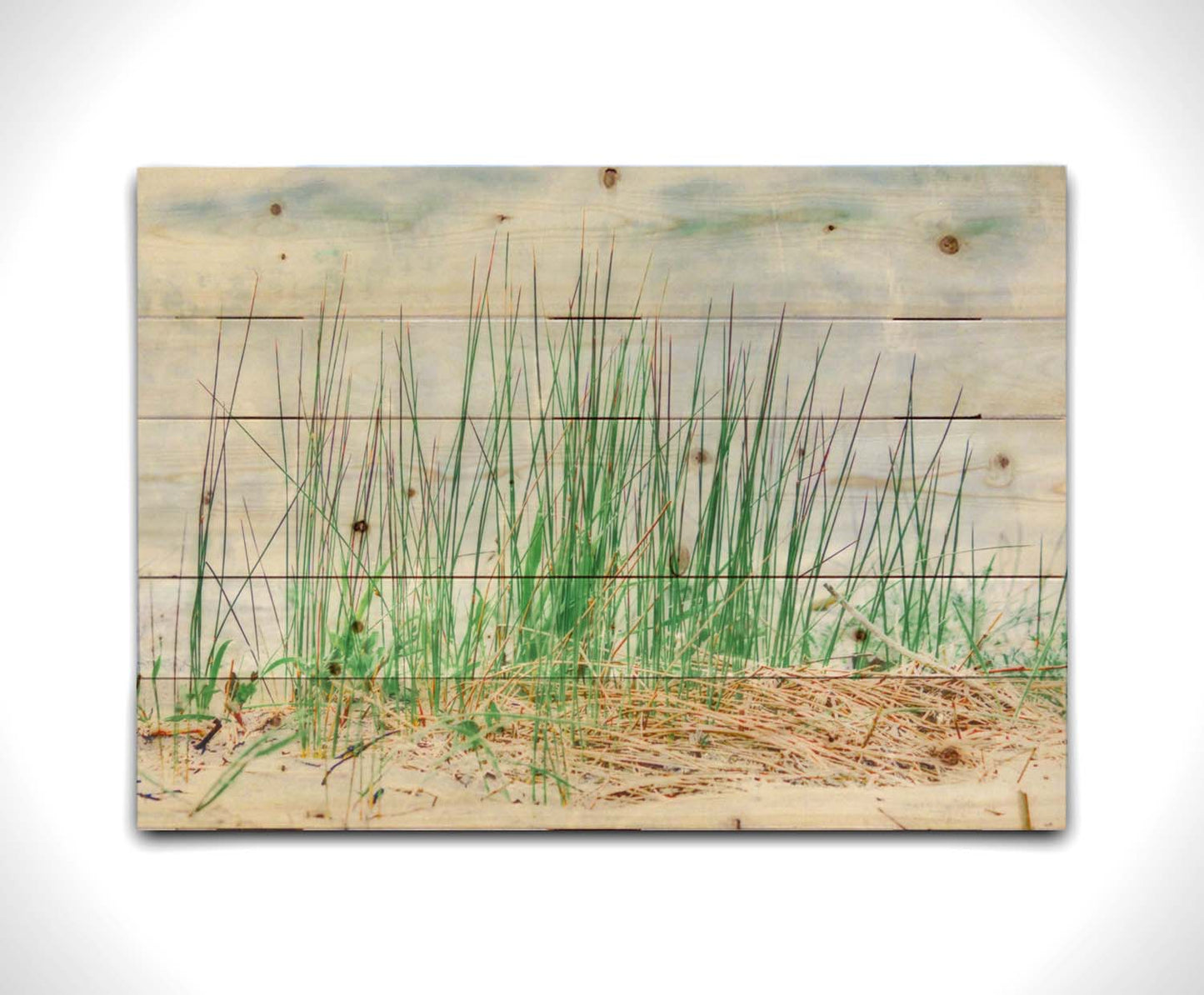 A photo of a patch of tall, green grass on a beach. Printed on a wood pallet.