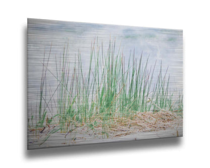 A photo of a patch of tall, green grass on a beach. Printed on metal.