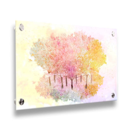 A watercolor-like photo composition depicting a grove of oak trees in a pink, white, and yellow color pallete. Printed on acrylic.