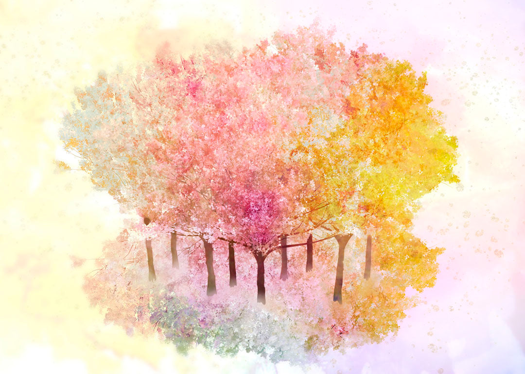 Dragable Image