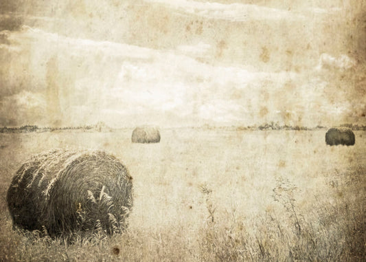 A sepia photo of a wide, open field with several hay bales.