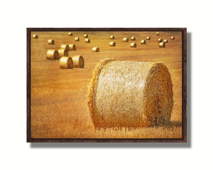 A photo of a field of freshly harvested and baled hay. Printed on canvas in a float frame.