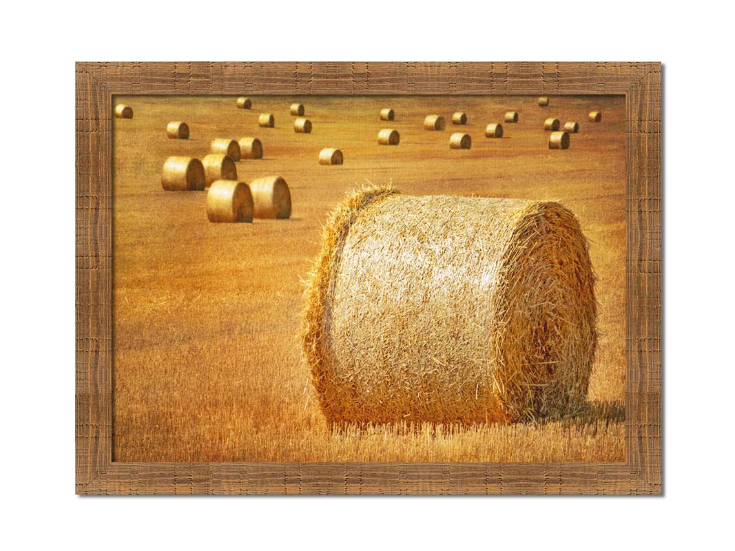 A photo of a field of freshly harvested and baled hay. Printed on canvas and framed.