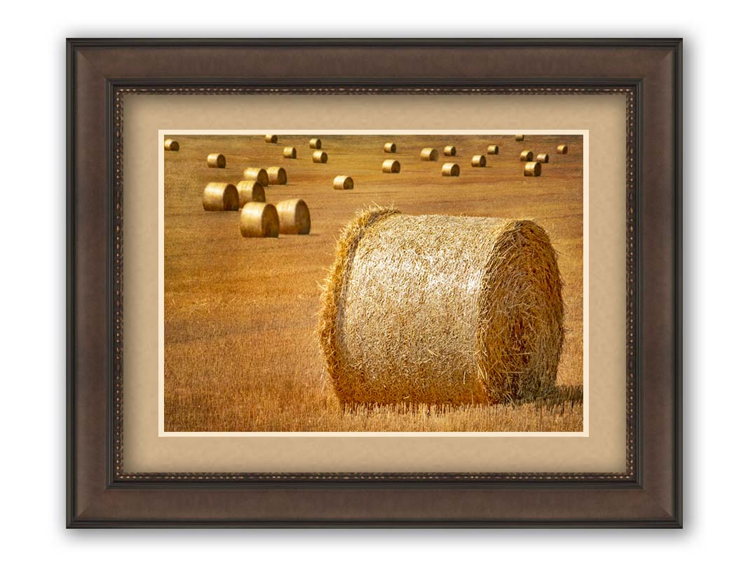 A photo of a field of freshly harvested and baled hay. Printed on paper, matted, and framed.