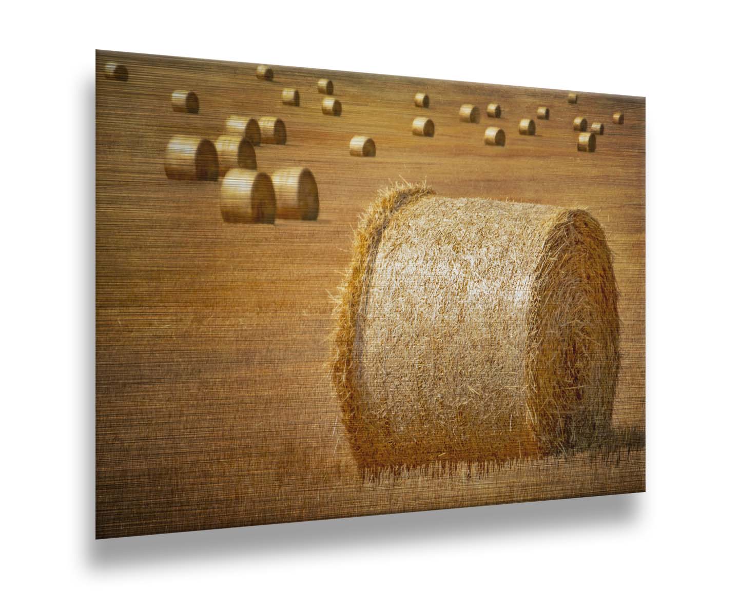 A photo of a field of freshly harvested and baled hay. Printed on metal.