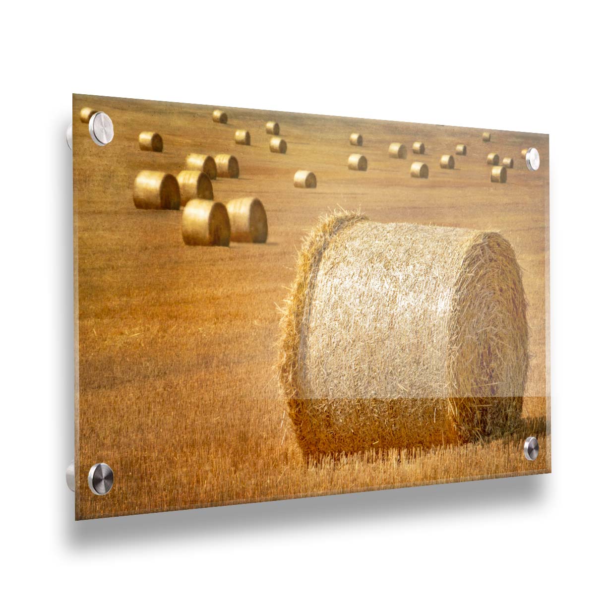 A photo of a field of freshly harvested and baled hay. Printed on acrylic.