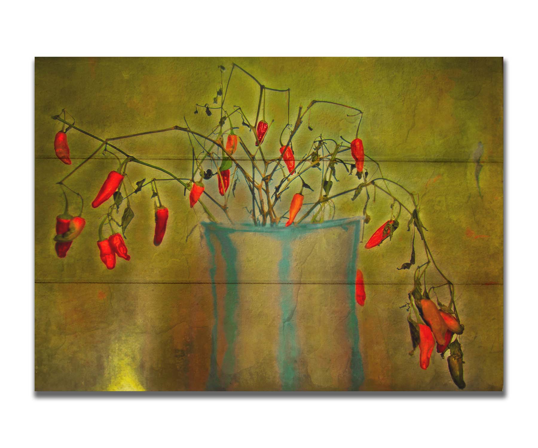 A photo of a pepper plant growing from a white and blue vase, edited with textures to add weathering. Printed on a box board.