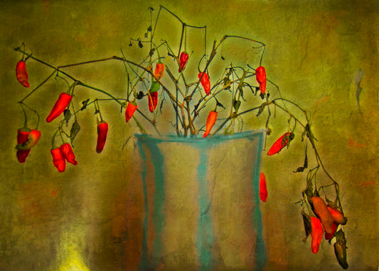 A photo of a pepper plant growing from a white and blue vase, edited with textures to add weathering. 