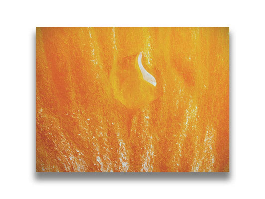 An extreme closeup photo of a drop of liquid on an orange. Printed on canvas.