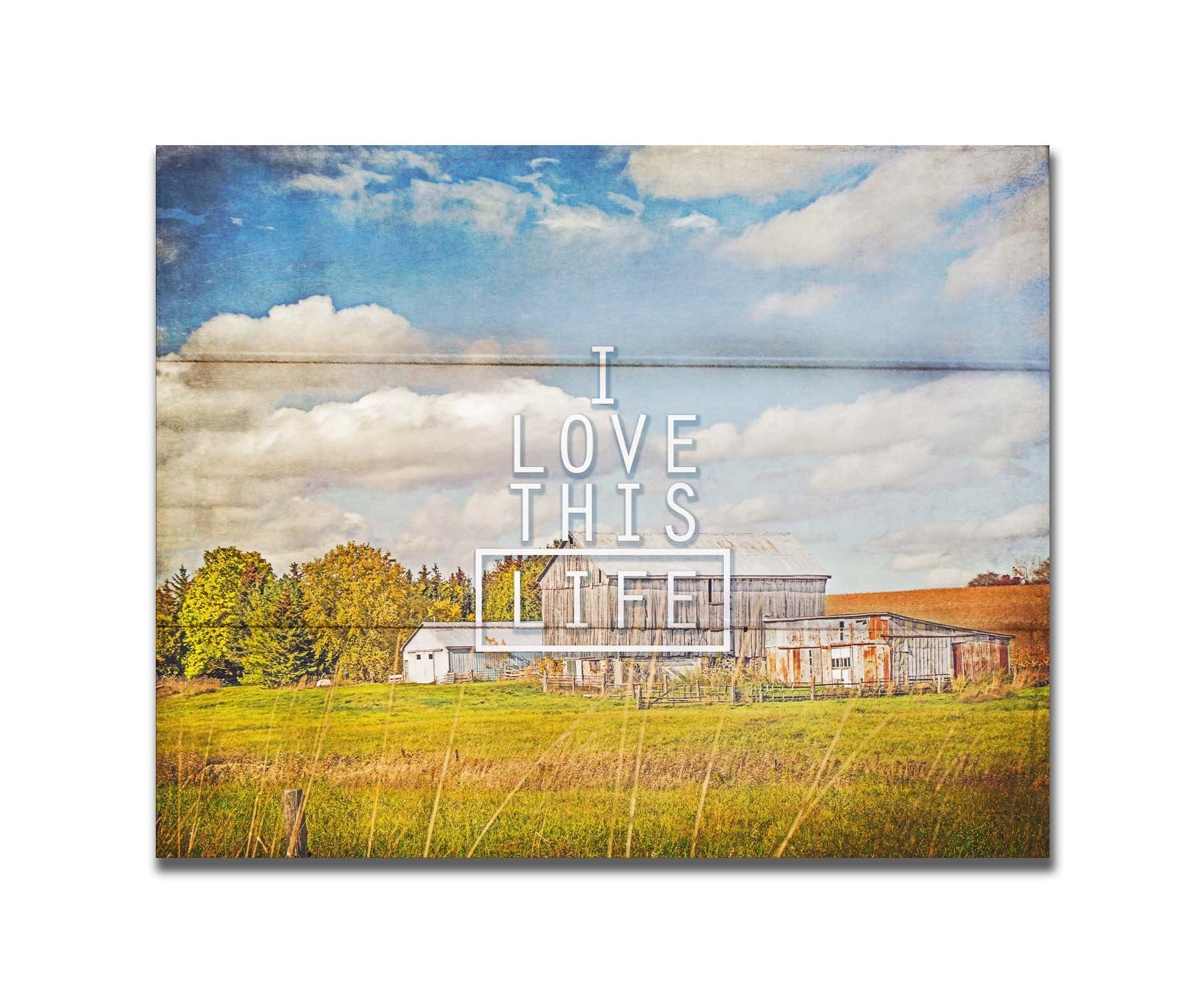 A photo of several barns, their associated pastures, and fields. The early signs of fall are present in the steadily changing leaves and crops. The sky above is wide, blue, and populated with fluffy clouds. It is overlaid with the phrase "I love this life." Printed on a box board.