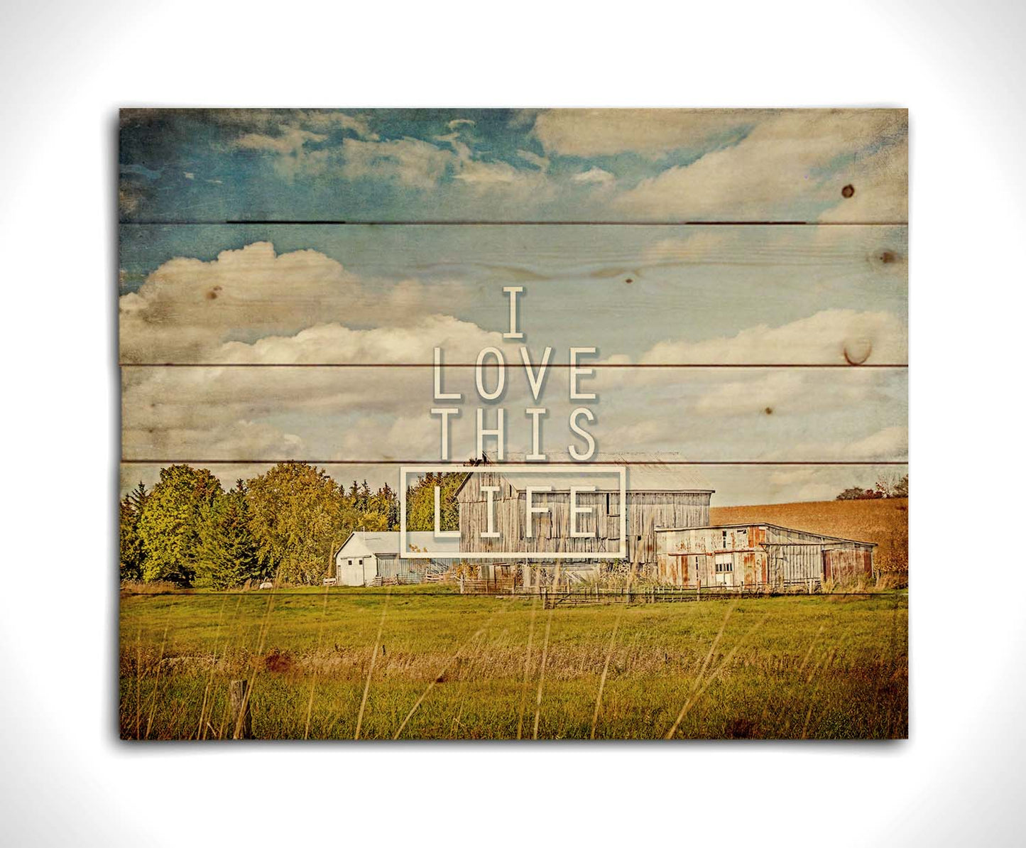 A photo of several barns, their associated pastures, and fields. The early signs of fall are present in the steadily changing leaves and crops. The sky above is wide, blue, and populated with fluffy clouds. It is overlaid with the phrase "I love this life." Printed on a wood pallet.