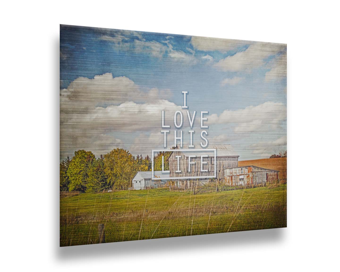 A photo of several barns, their associated pastures, and fields. The early signs of fall are present in the steadily changing leaves and crops. The sky above is wide, blue, and populated with fluffy clouds. It is overlaid with the phrase "I love this life." Printed on metal.