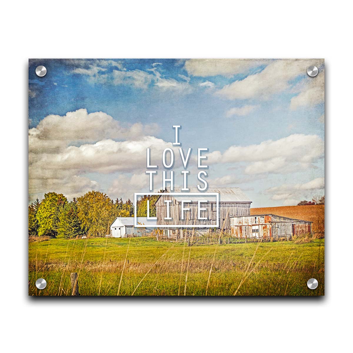 A photo of several barns, their associated pastures, and fields. The early signs of fall are present in the steadily changing leaves and crops. The sky above is wide, blue, and populated with fluffy clouds. It is overlaid with the phrase "I love this life." Printed on acrylic.