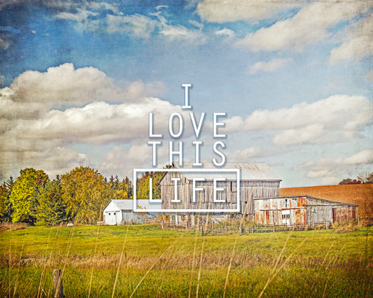 A photo of several barns, their associated pastures, and fields. The early signs of fall are present in the steadily changing leaves and crops. The sky above is wide, blue, and populated with fluffy clouds. It is overlaid with the phrase "I love this life."