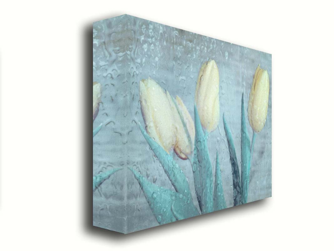 A photo of four white tulips against a gray background, overlaid with a texture of rainwater on glass. Printed on canvas.