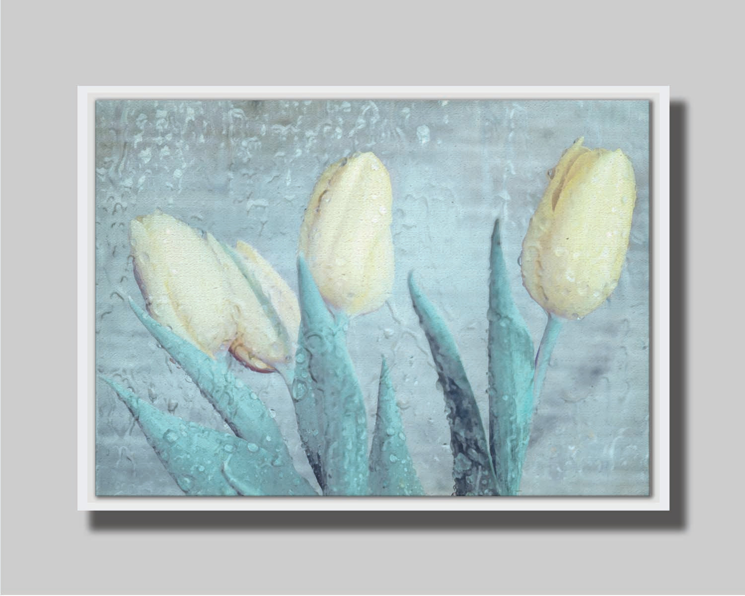 A photo of four white tulips against a gray background, overlaid with a texture of rainwater on glass. Printed on canvas in a float frame.