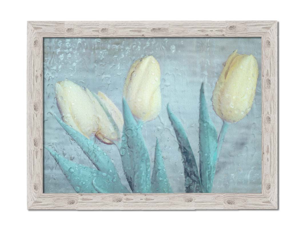 A photo of four white tulips against a gray background, overlaid with a texture of rainwater on glass. Printed on a wood pallet.