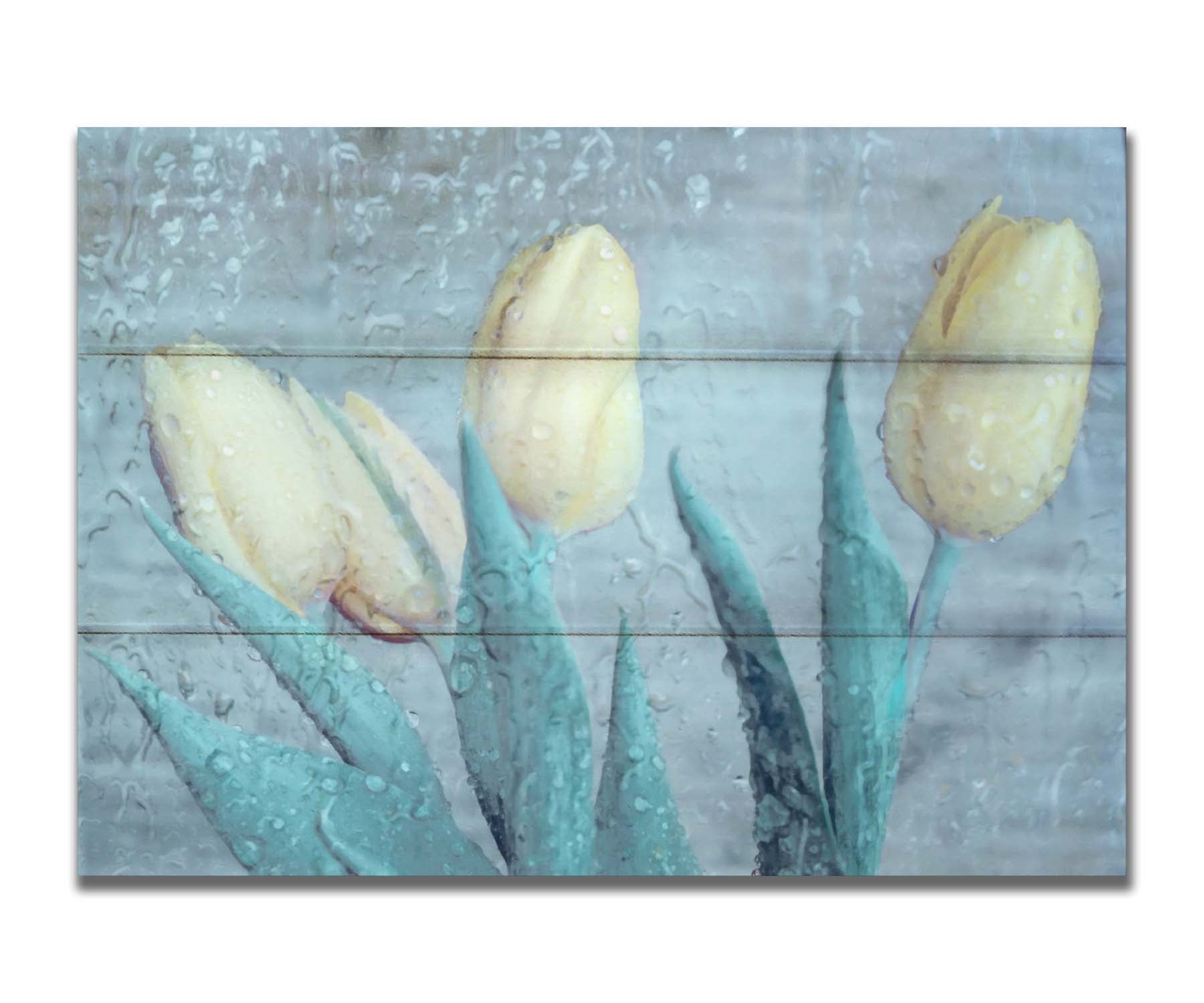 A photo of four white tulips against a gray background, overlaid with a texture of rainwater on glass. Printed on a box board.
