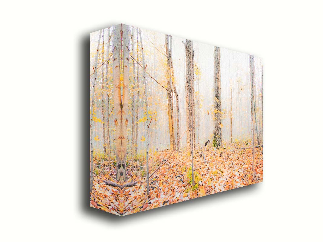 A photo of a forest in autumn on a bright morning, with orange leaves layering the ground. A pale fog obscures the trees in the far distance. Printed on canvas.