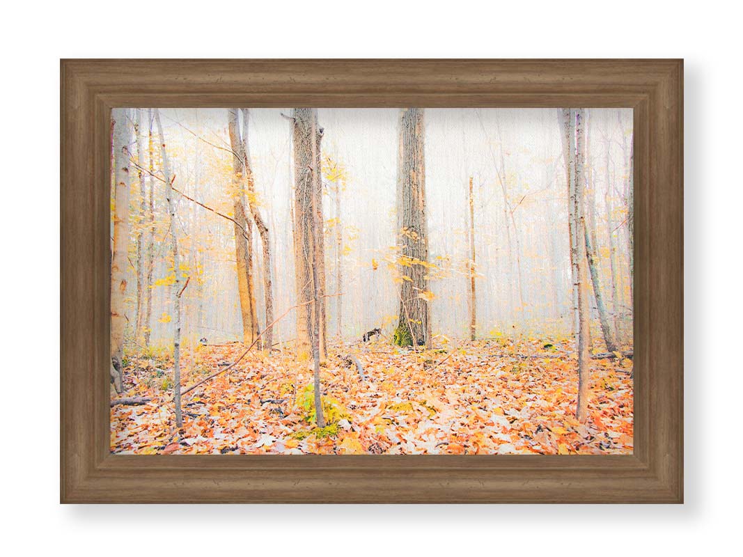 A photo of a forest in autumn on a bright morning, with orange leaves layering the ground. A pale fog obscures the trees in the far distance. Printed on canvas and framed.