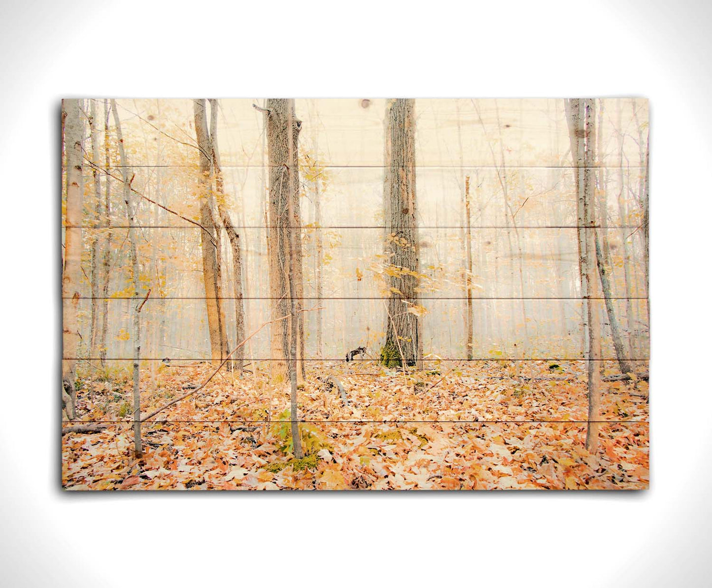 A photo of a forest in autumn on a bright morning, with orange leaves layering the ground. A pale fog obscures the trees in the far distance. Printed on a wood pallet.