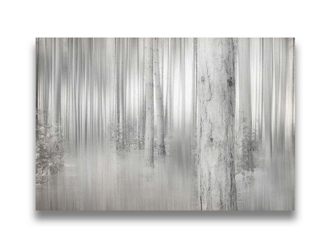 A grayscale photo of a forest of tree trunks, edited with a dramy blur that emphasizes the verticality of the trees. Printed on canvas.