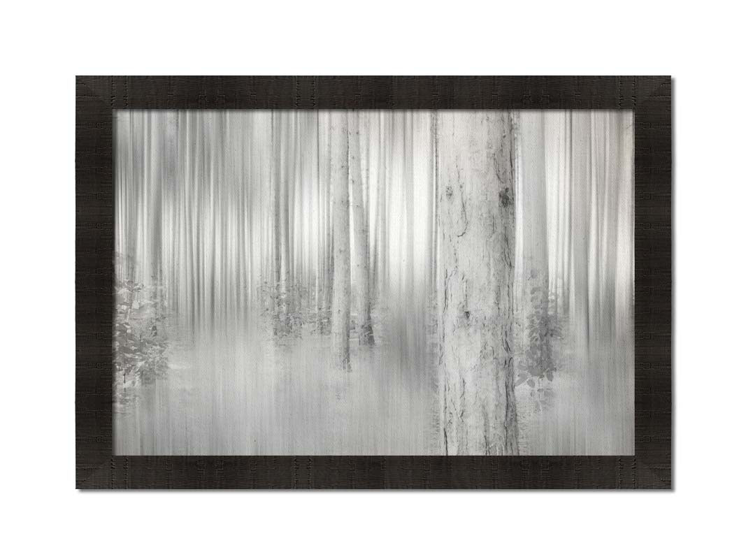 A grayscale photo of a forest of tree trunks, edited with a dramy blur that emphasizes the verticality of the trees. Printed on canvas and framed.