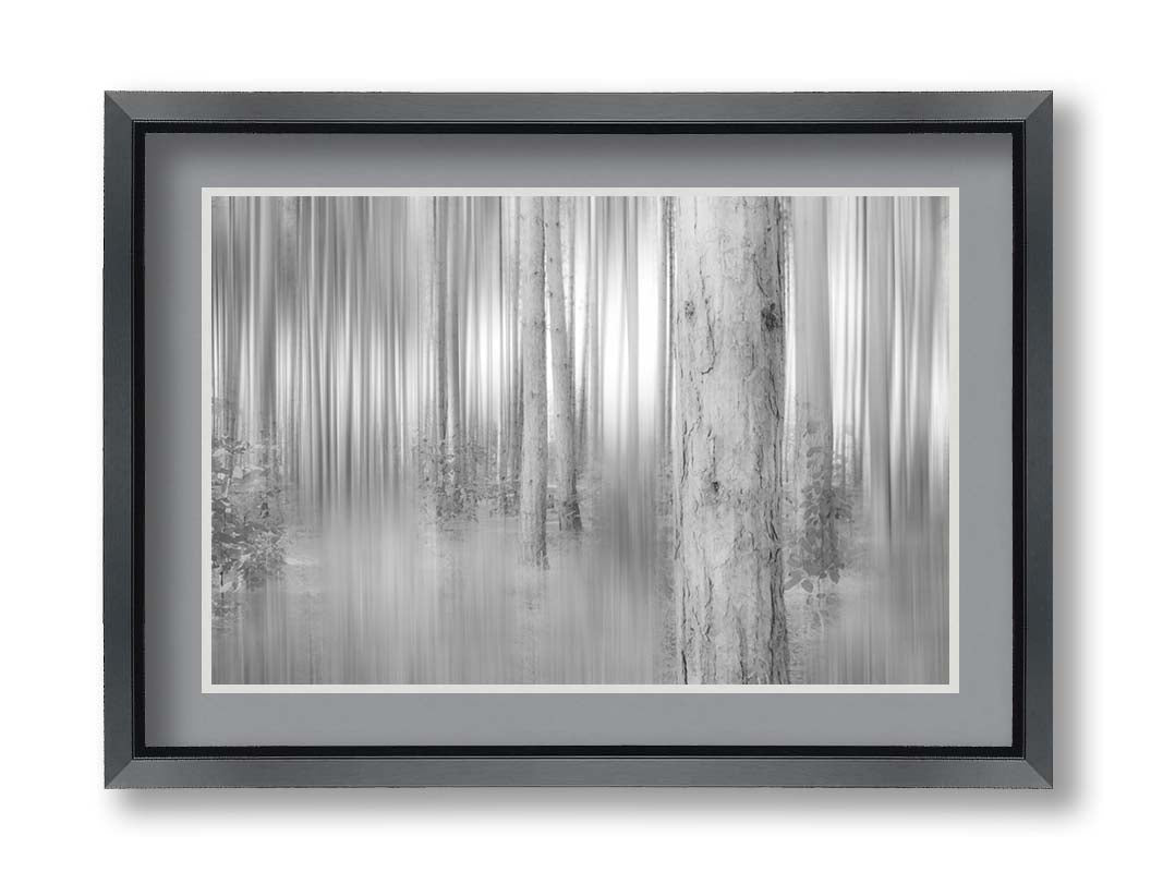 A grayscale photo of a forest of tree trunks, edited with a dramy blur that emphasizes the verticality of the trees. Printed on paper, matted, and framed.