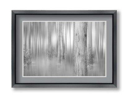 A grayscale photo of a forest of tree trunks, edited with a dramy blur that emphasizes the verticality of the trees. Printed on paper, matted, and framed.