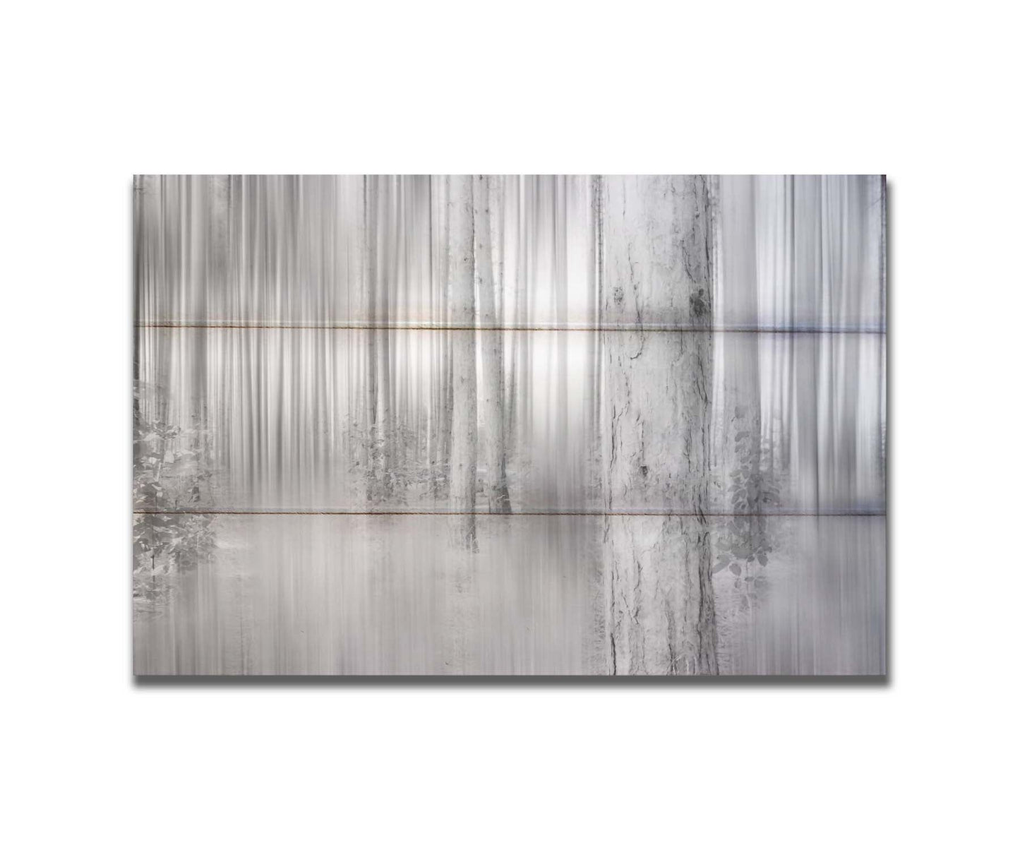 A grayscale photo of a forest of tree trunks, edited with a dramy blur that emphasizes the verticality of the trees. Printed on a box board.