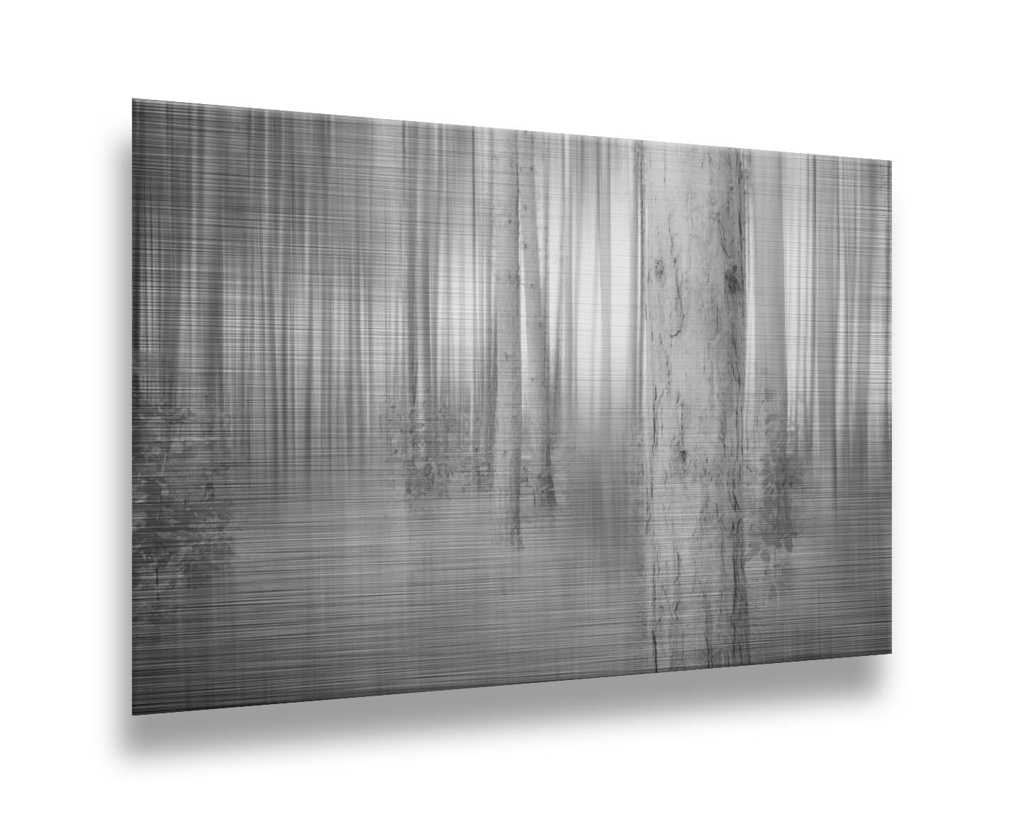 A grayscale photo of a forest of tree trunks, edited with a dramy blur that emphasizes the verticality of the trees. Printed on metal.