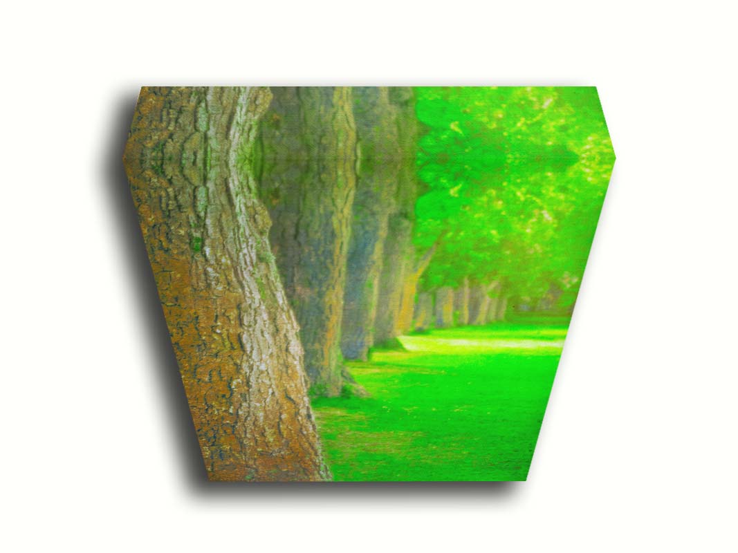 A bright green photo looking down a line of trees' trunks. Printed on canvas.