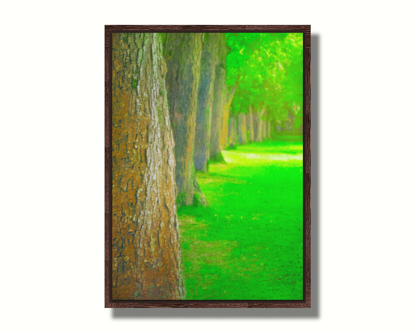 A bright green photo looking down a line of trees' trunks. Printed on canvas in a float frame.