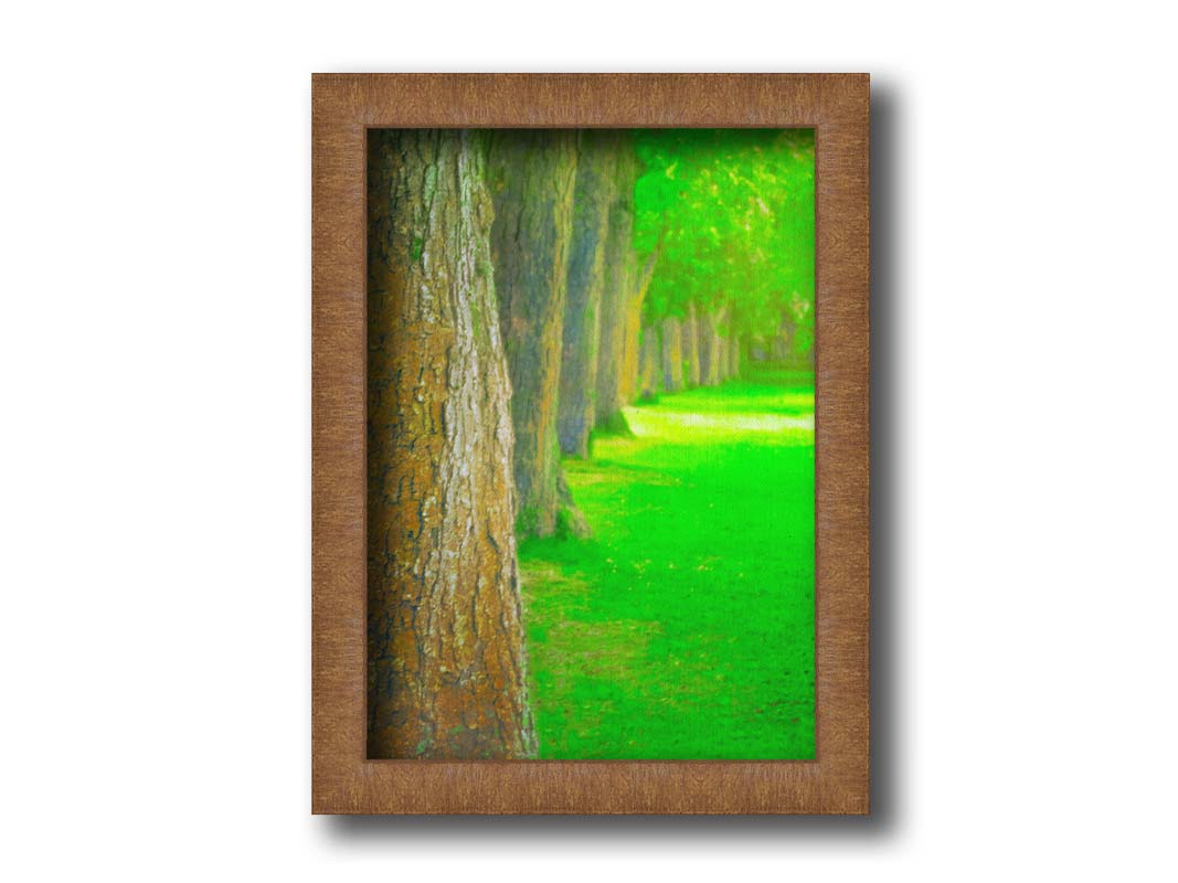 A bright green photo looking down a line of trees' trunks. Printed on canvas and framed.