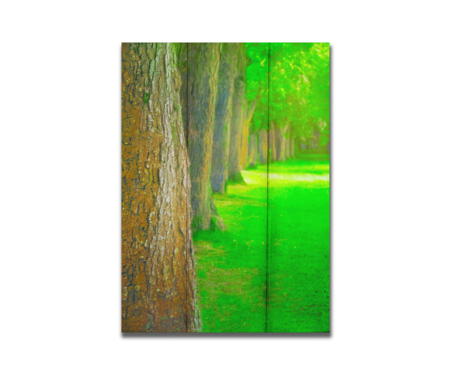 A bright green photo looking down a line of trees' trunks. Printed on a box board.