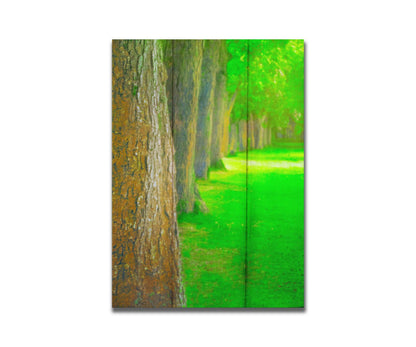 A bright green photo looking down a line of trees' trunks. Printed on a box board.