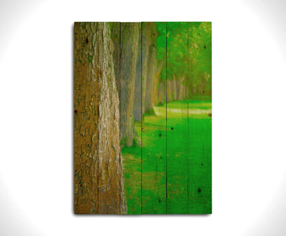 A bright green photo looking down a line of trees' trunks. Printed on a wood pallet.