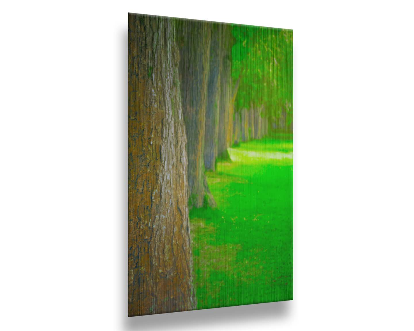 A bright green photo looking down a line of trees' trunks. Printed on metal.