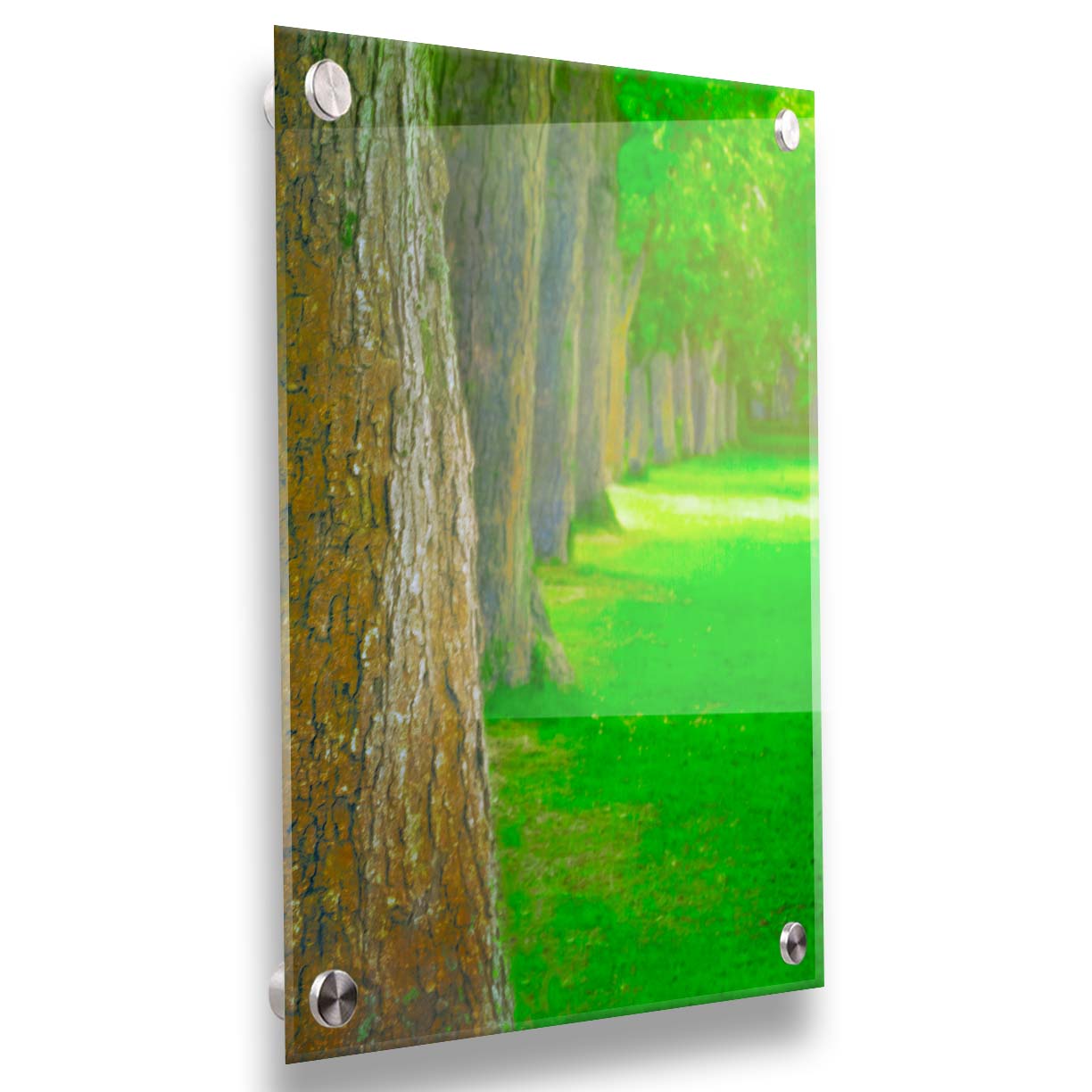 A bright green photo looking down a line of trees' trunks. Printed on acrylic.