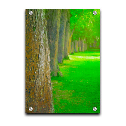 A bright green photo looking down a line of trees' trunks. Printed on acrylic.