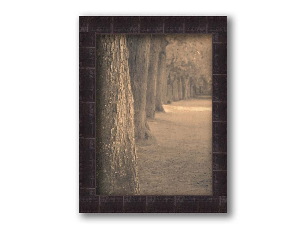 A sepia photo looking down a line of trees' trunks. Printed on canvas and framed.