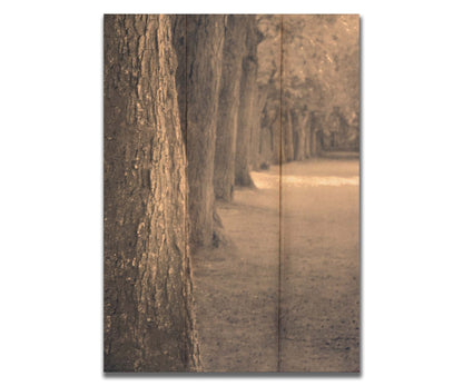 A sepia photo looking down a line of trees' trunks. Printed on a box board.