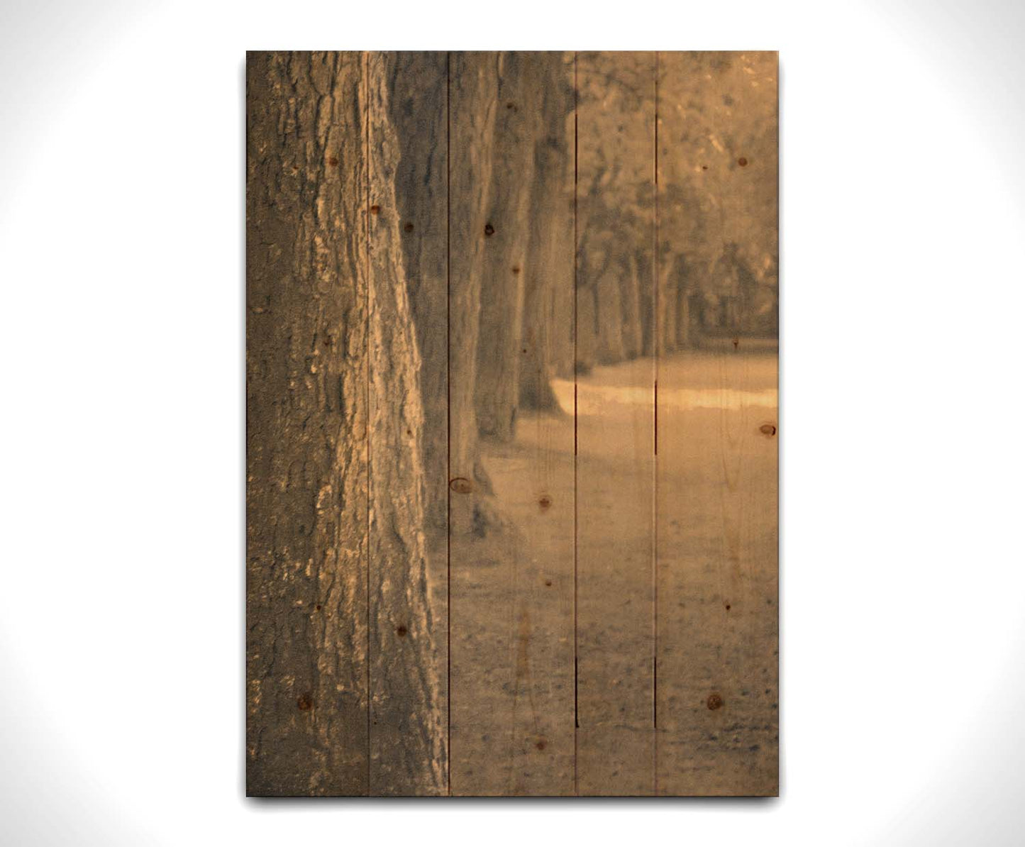 A sepia photo looking down a line of trees' trunks. Printed on a wood pallet.